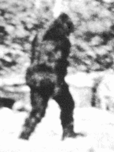 Gif animé Bigfoot photo